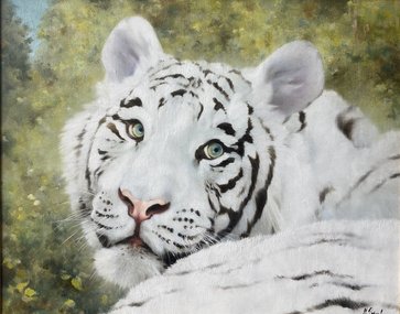 Белый тигр (2021, х.м., 40x50, арт. 104К10) - 42 500 ₽