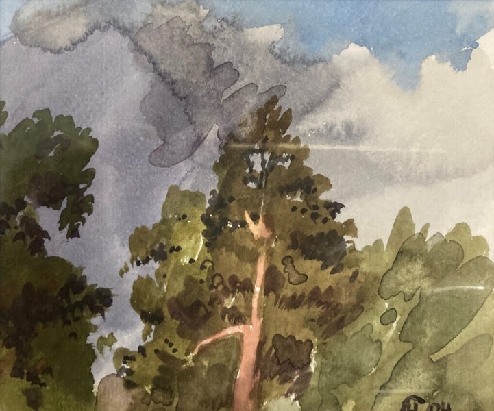 Верхушки деревьев | АРТ-САЛОН на Октябрьской