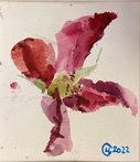 Красный цветок (2022, б.акв., 9x8, арт. 42.64) - 1 600 ₽