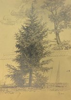 Деревья (2009, бум.кар., 29x21, арт. 42.00015) - 1 700 ₽