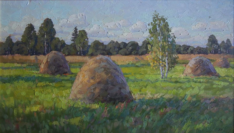 Подмосковные луга 3