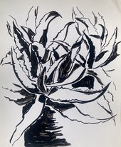 Алоэ (год не указан, б тушь, 30x30, арт. 111к2) - 4 300 ₽