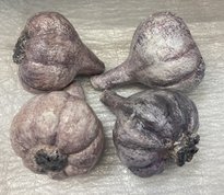 чеснок в ассортименте (2025, паперклей, 8x6, арт. 40п44) - 450 ₽