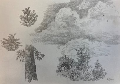 Облака, деревья, шишки (2010, бум.кар., 19x28, арт. 42К.0006) - 1 700 ₽