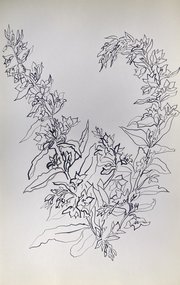 Цветы (год не указан, б тушь, 43x30, арт. 111к19) - 3 400 ₽